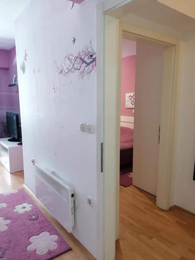 אוהריד Apartments Nela מראה חיצוני תמונה
