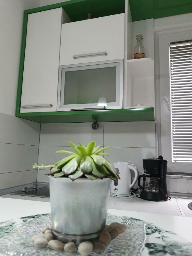 אוהריד Apartments Nela מראה חיצוני תמונה